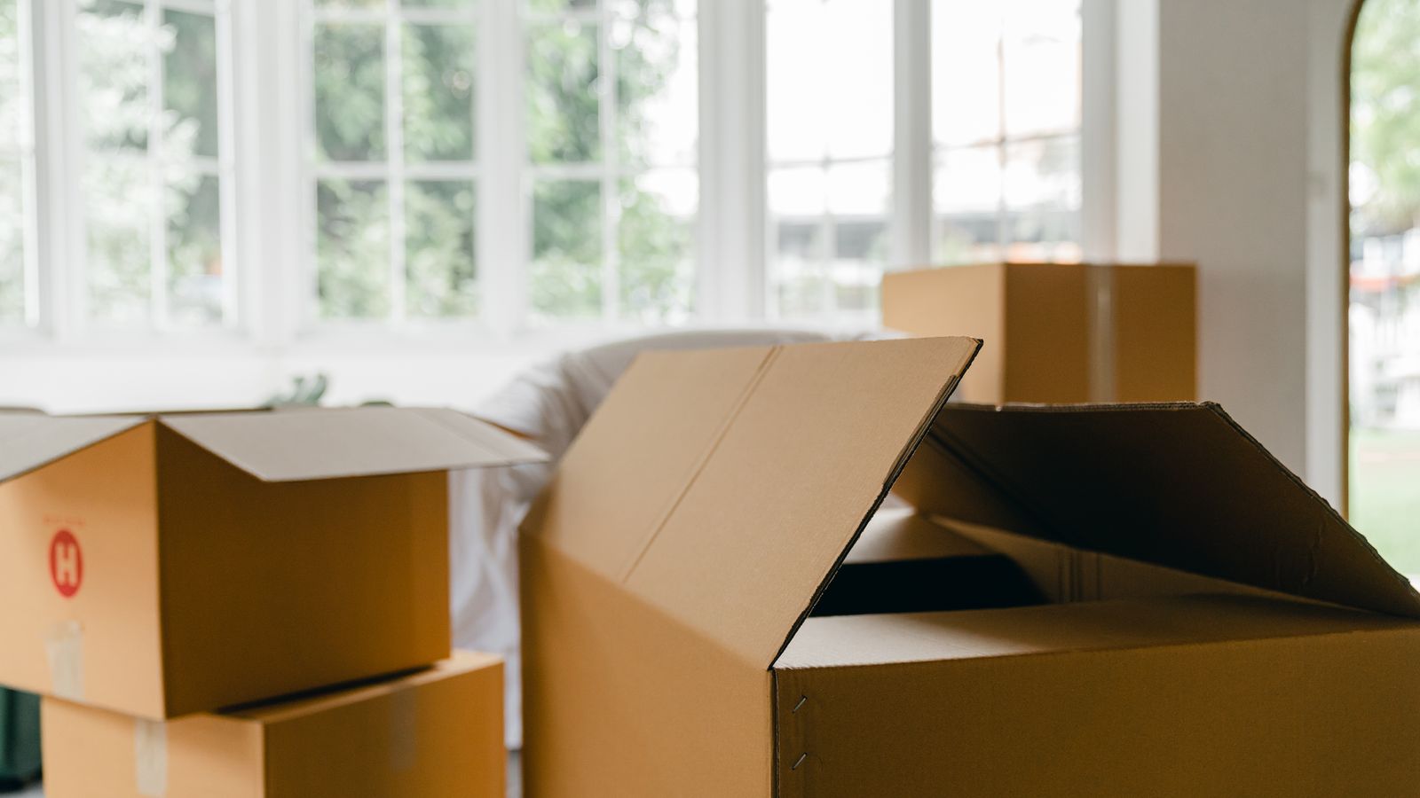 Illustrative moving-day packing scene